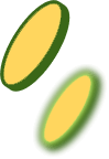 vector